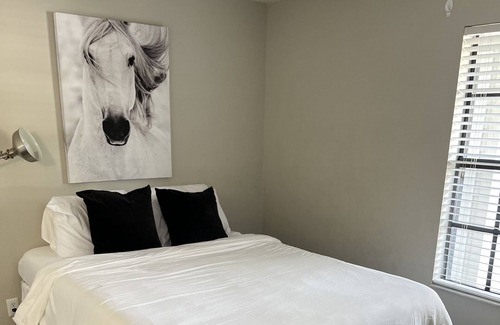 Tampa Apartamento | Beautiful Tampa Oasis