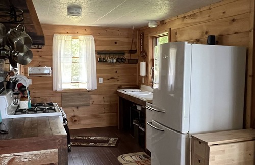Sayner Cabina | Beautiful Two Bedroom cabin on Plum Lake