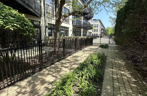 University Village / Little Italy Condominio | Beautiful University Village Condo in the heart of Chicago