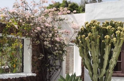 Costa Teguise Casa | Magnifica villa 250m2 con piscina 7 personas