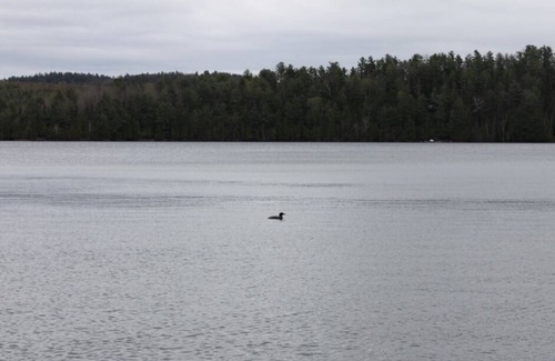 Northfield Cabaña | Beautiful year-round retreat on Heney Lake