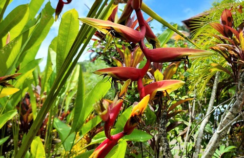 Cascada Azul Villa | Beauty and Serenity overlooking the Jungle and Sea