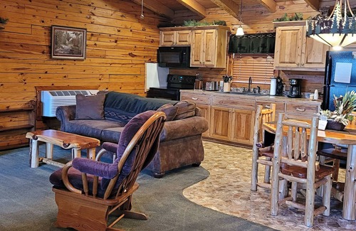 Sylvan Shores Cabina | Beaver Lake Cabin on the Waterfront with Boat Dock & Swim Deck