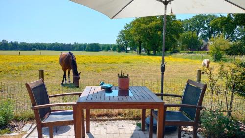 Lunteren Cama Y Desayuno | Bed and Breakfast Hammerhoeve