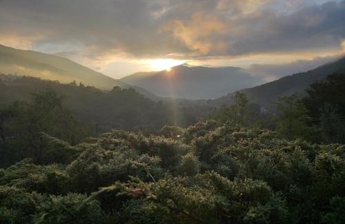 Cittaducale Casa | bed and breakfast "il Picchio Verde"