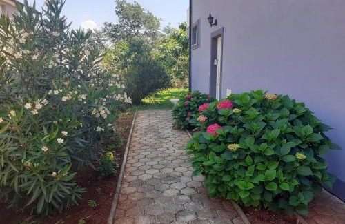 Đuba Cama Y Desayuno | Bed and breakfast Julia
