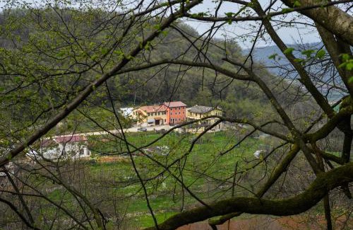 Arcugnano Cama Y Desayuno | Bed and Breakfast La Quiete