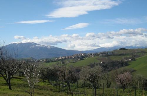 Castignano Cama Y Desayuno | Bed And Breakfast San Martino