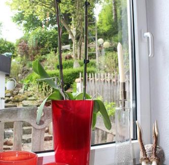 Stockach Cama Y Desayuno | Bed & Breakfast Bodensee mit Herz