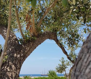 Giovinazzo Cama Y Desayuno | Bed & Breakfast del Faro