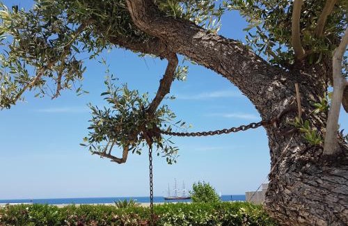 Giovinazzo Cama Y Desayuno | Bed & Breakfast del Faro