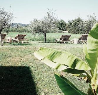 Monte Cama Y Desayuno | Bed & Breakfast IL PAJO