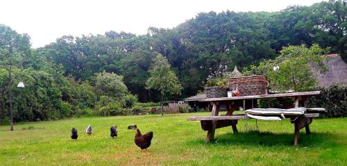 Markelo Cama Y Desayuno | Bed & Breakfast Markelo