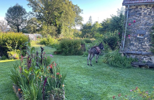 Mauriac Casa | Bed & Breakfast or Gîte near Salers, Puy Mary and Gorges de la Dordogne