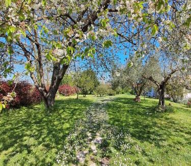 Formello Apartamento | Bed & Breakfast Parco di Veio
