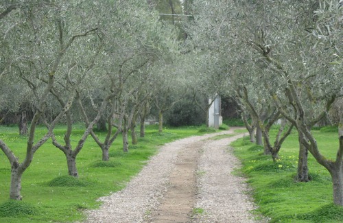 Cabras Casa | Bed & Breakfast Sa Ingia
