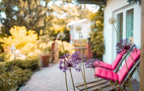 Bellersheim Cama Y Desayuno | Bed & Breakfast Unter den Linden