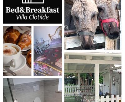 Civitanova Marche Cama Y Desayuno | Bed&Breakfast VillaClotilde