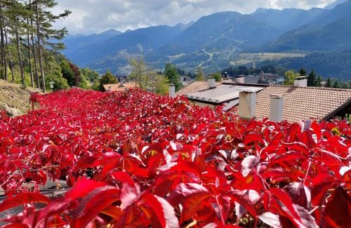 Cavalese Cama Y Desayuno | Bed & breakfast Villa Maria