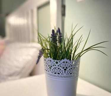 Forst an der Weinstraße Apartamento | Bed n Riesling