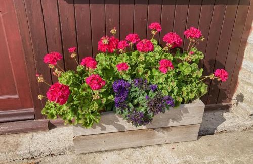 East Lydford Casa | Bee Cottage