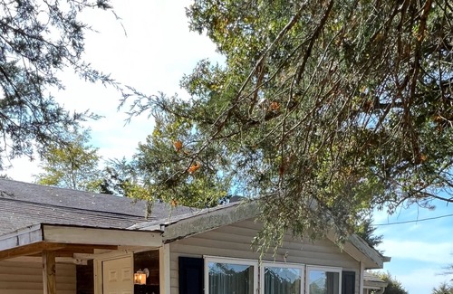 Jonesville Cabaña | Bee Our Guests! Country setting close to the Ark 1950’s house. Relax