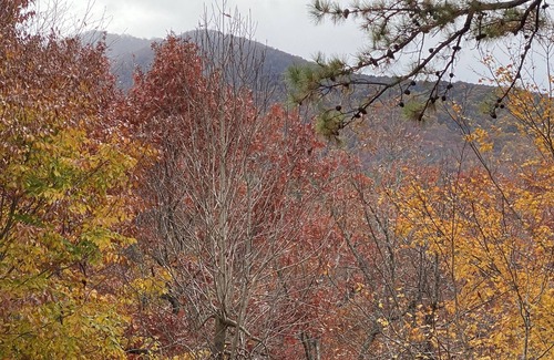 Black Mountain Cabina | Beech Creek Cabin, Black Mountain