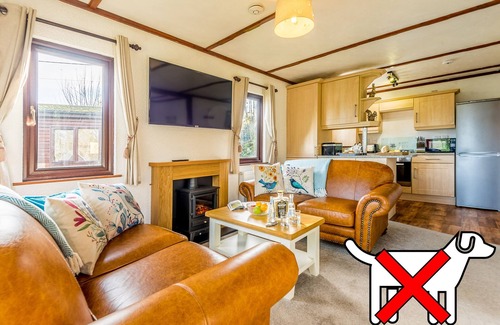 Otterham Apartamento | Beech Lodge-Lodge-Baño Privado