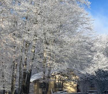 Beech Mountain Casa | Beech Mountain Swiss-style Chalet
