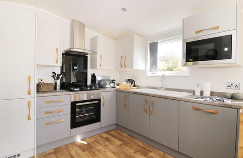 Skirpenbeck Cabaña | BEECH TREE LODGE, con bañera de hidromasaje en Stamford Bridge, Ref 995942