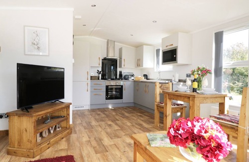 Skirpenbeck Cabaña | BEECH TREE LODGE, con bañera de hidromasaje en Stamford Bridge, Ref 995942
