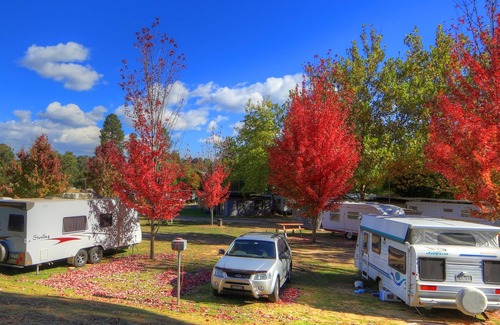 Beechworth Casa | Beechworth Lake Sambell Caravan Park