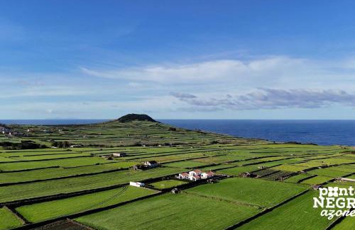 Altares Casa | Beer House by PontaNegraAzores