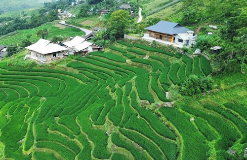 Sa Pa Chalet De Esquí | Bees Homestay Sapa & Trekking