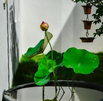 Taitung Casa | Begonia B&B