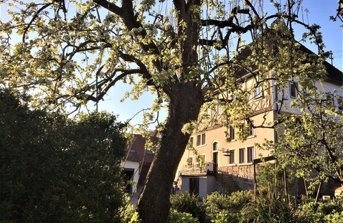 Lauda Apartamento | Beim Schloß Michel