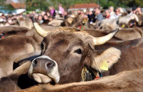 Oberjoch Apartamento | beim Vogt - Oberjoch