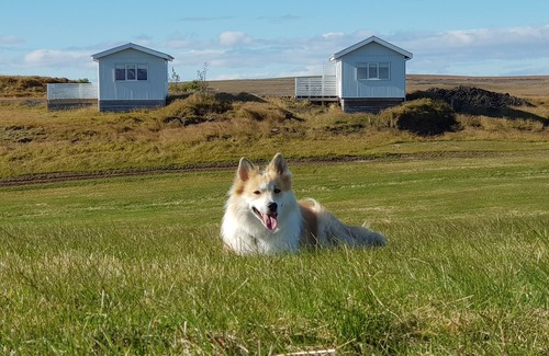 Rangarþing ytra Cabina | Beindalsholt