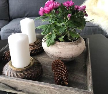 Beitostolen Apartamento | Beitotind sentralt på Beitostølen
