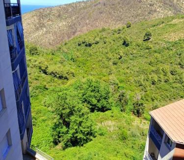 Bejaia Apartamento | BEJAIA Location Appartements de 49 à 69eur