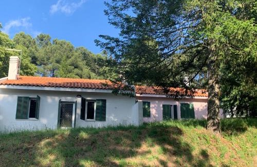 Felgar Casa | Bel Douro