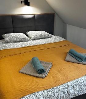 Kopaonik Apartamento | Bela Reka C308