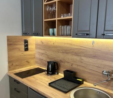Kopaonik Apartamento | Bela Reka C308