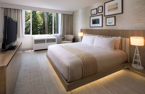 Tree Section Hotel | Belamar Hotel Manhattan Beach, Tapestry Collection by Hilton