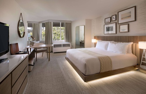 Tree Section Hotel | Belamar Hotel Manhattan Beach, Tapestry Collection by Hilton