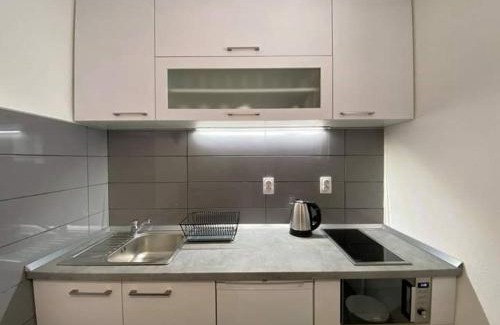Brzece Apartamento | Bele staze Kopaonik z
