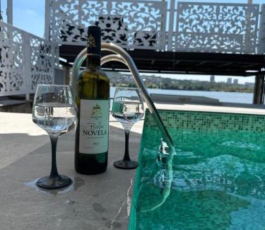 Palilula Villa | Belgrade River House