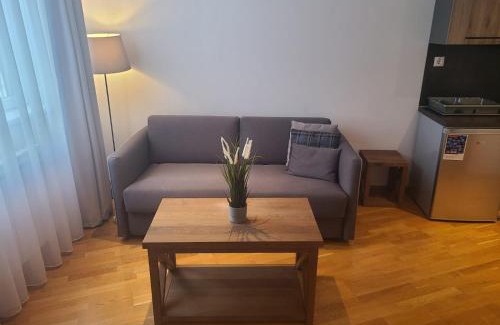 Kopaonik Apartamento | BELI VUK - Brzeće, Kopaonik