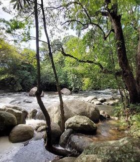 Imbulpe Hotel | Belihuloya Terico Resort