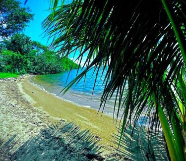 Forest Home Casa | Belize Bay Estate